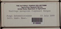 Image Associated With the Occurence